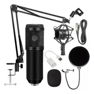 Microfono Profesional Condensador Bm-800tz Unidireccional DISTRIGAMER